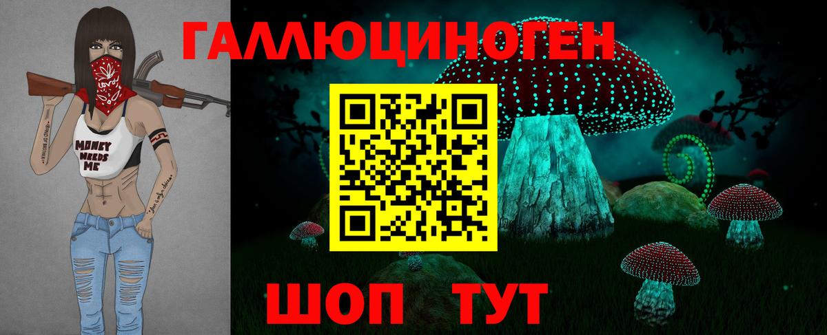 Галлюциногенные грибы MAGIC MUSHROOMS  Псилоцибиновые грибы прущие грибы  Вход с VPN  Тосно 
